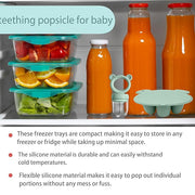 Silicone Baby Food Freezer Tray with Teething Popsicle Molds - Baby Fruit Feeder and Breastmilk Teether Combo