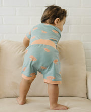 Organic Cotton Shorts - Frog