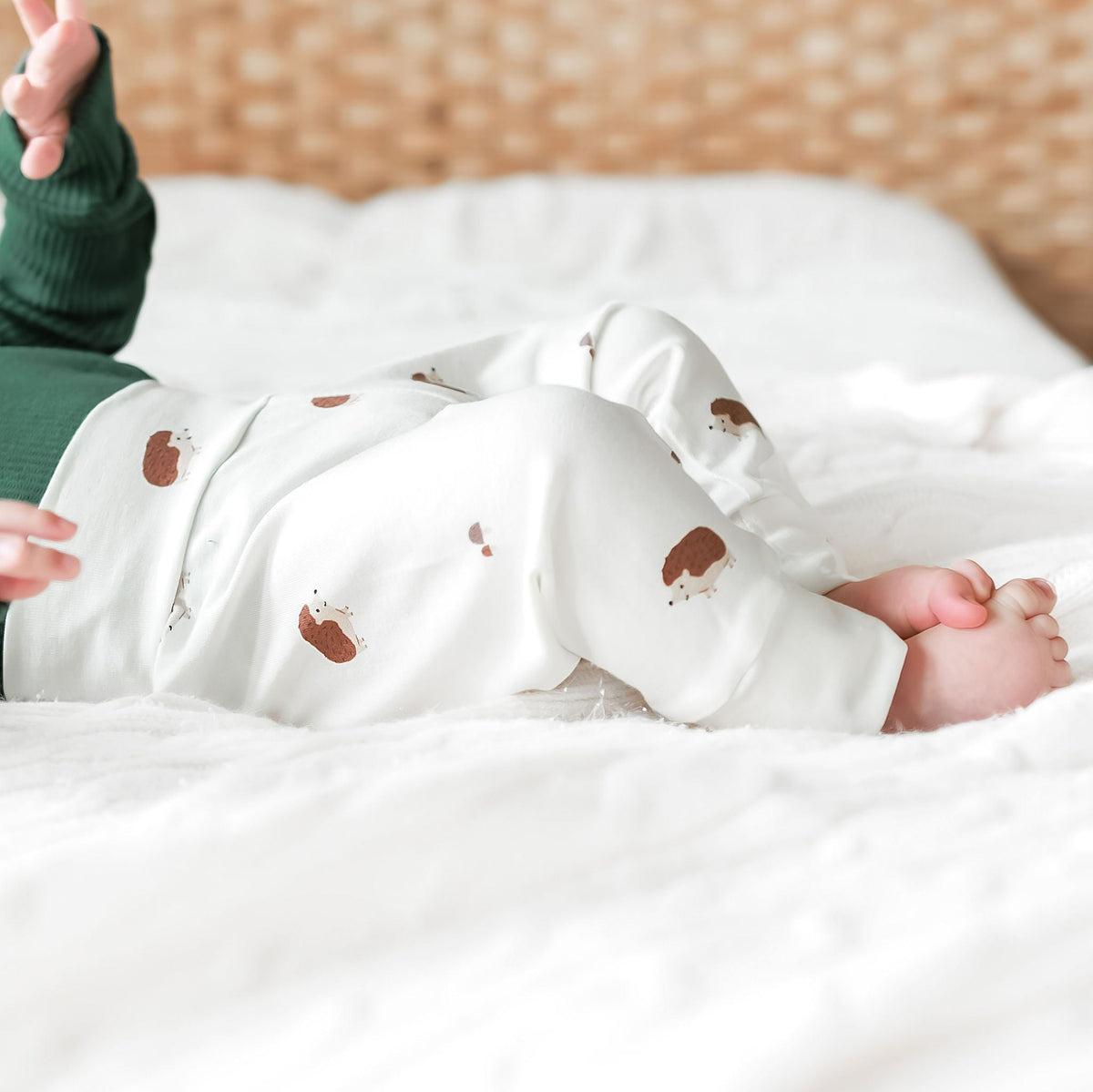 Sweet Hedgehogs Baby & Toddler Cotton Leggings
