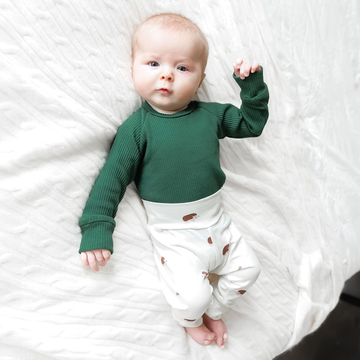 Sweet Hedgehogs Baby & Toddler Cotton Leggings