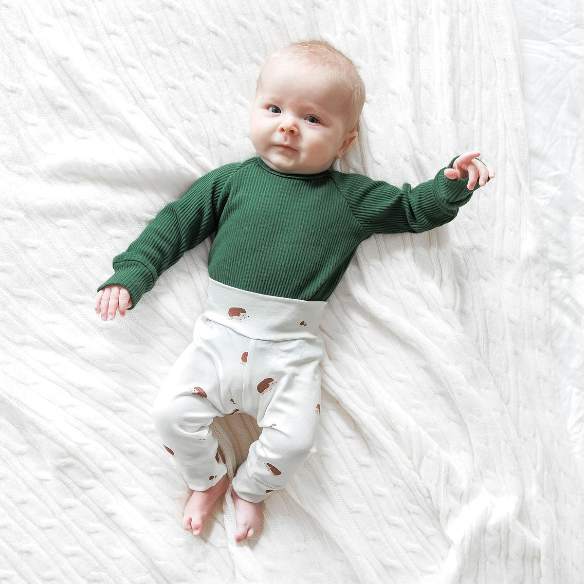 Sweet Hedgehogs Baby & Toddler Cotton Leggings