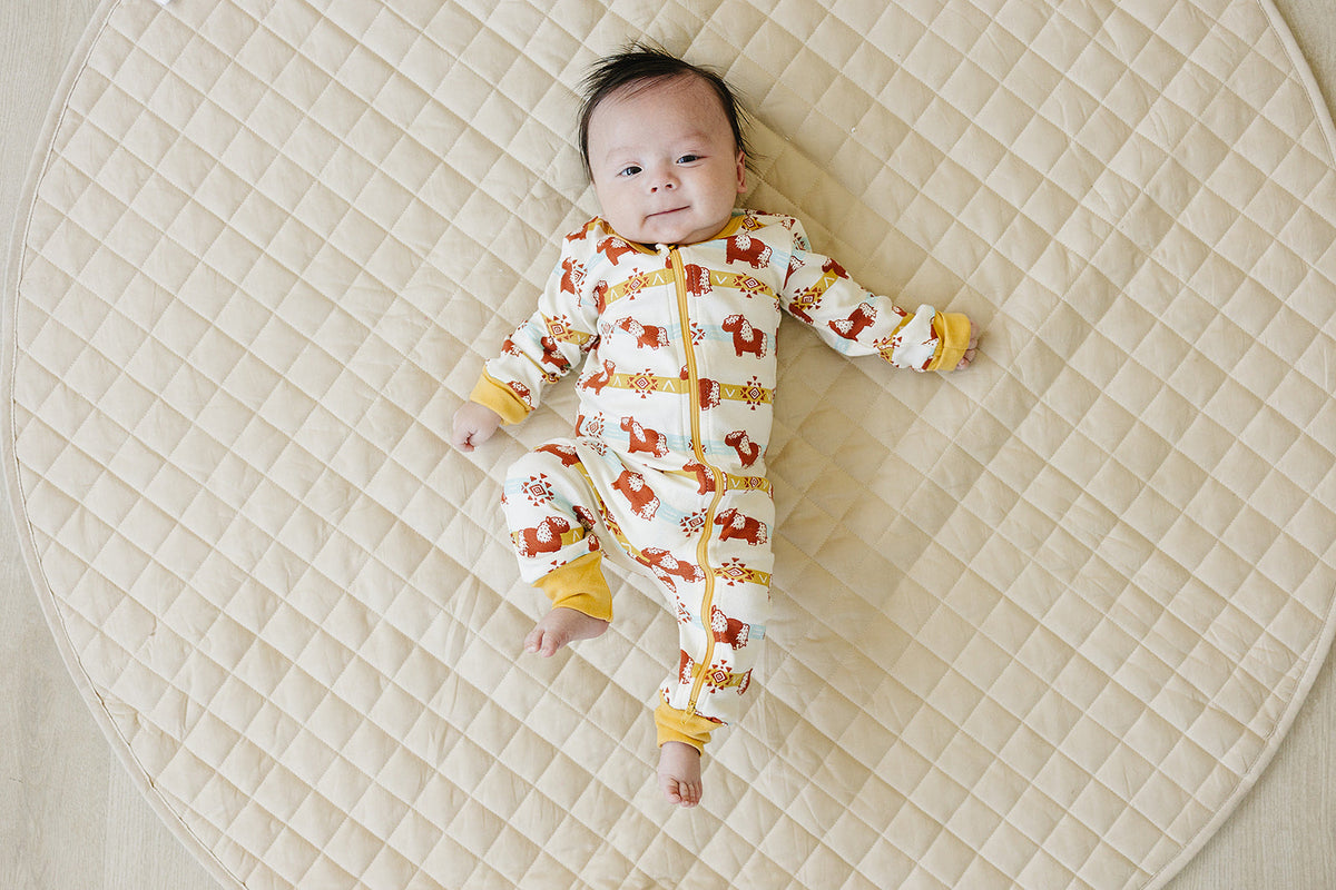 Organic Cotton Baby Zippy Pajamas – GOTS Certified Newborn Sleeper – Aztec Pony