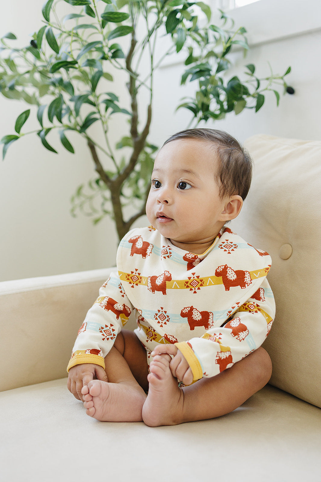 Organic Cotton Baby Bodysuit – GOTS Certified Long Sleeve Newborn Onesie – Aztec Pony